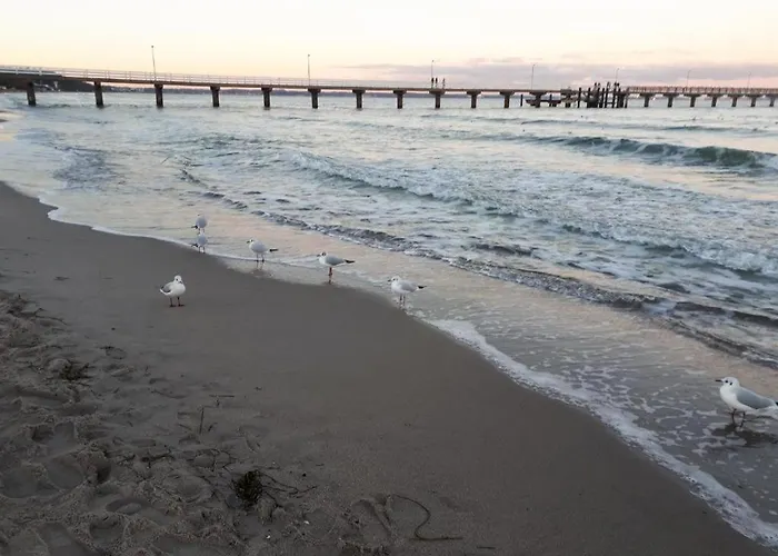 Erdgeschoss-appartement Mit Seeterasse