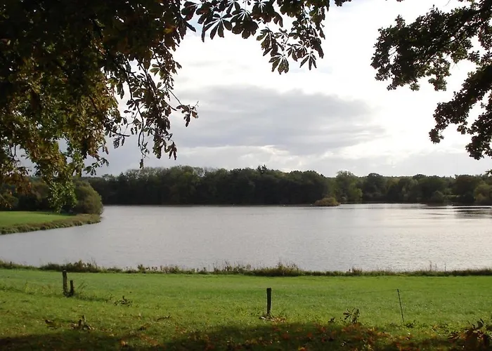 Erdgeschoss-appartement Mit Seeterasse